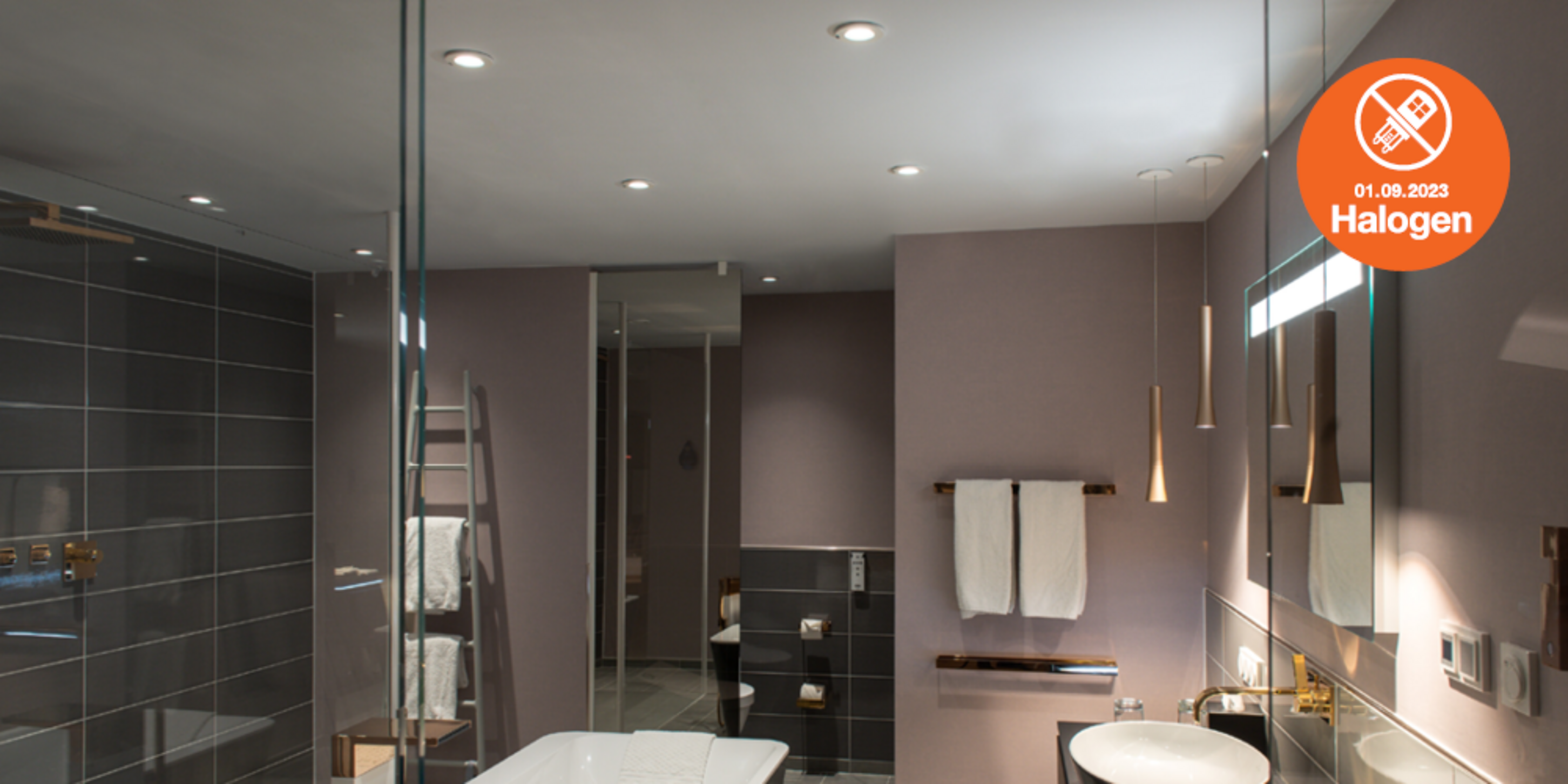 Lösungen zum Halogenlampen Verbot bei Elektro Eddy in Gelnhausen